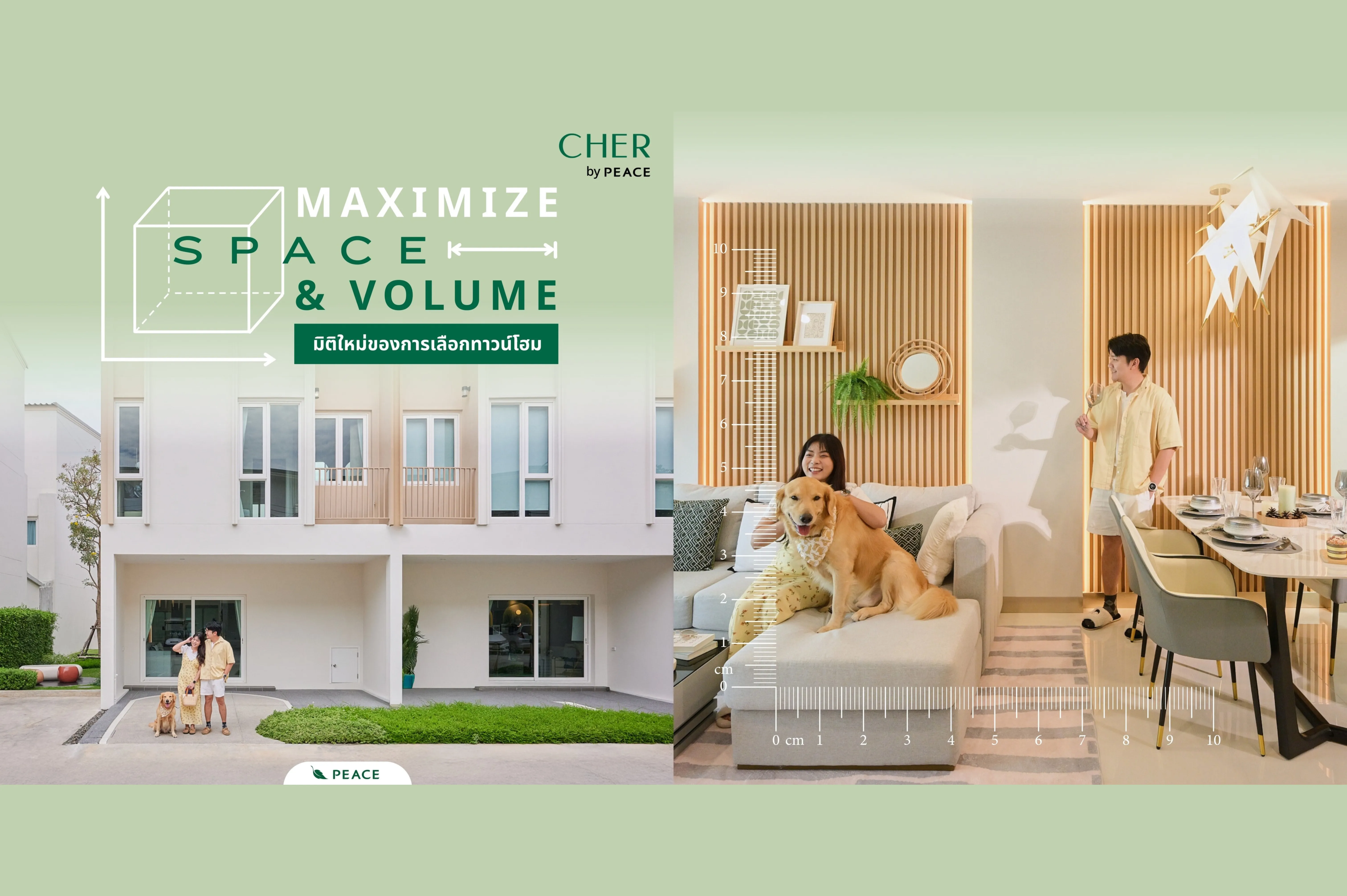 Banner News and Blog | Peace & Living